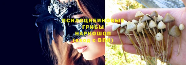 сатива Майский