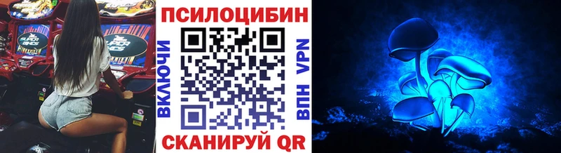 Галлюциногенные грибы прущие грибы купить наркоту Электроугли